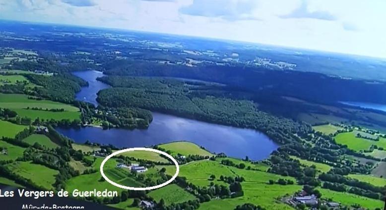 Les Reinettes - Les Vergers De Guerlédan Exteriör bild